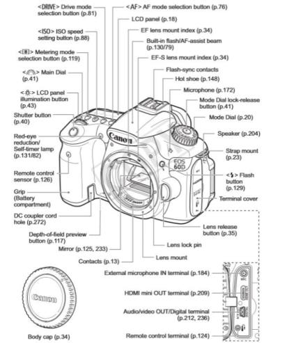 Canon D60 Description